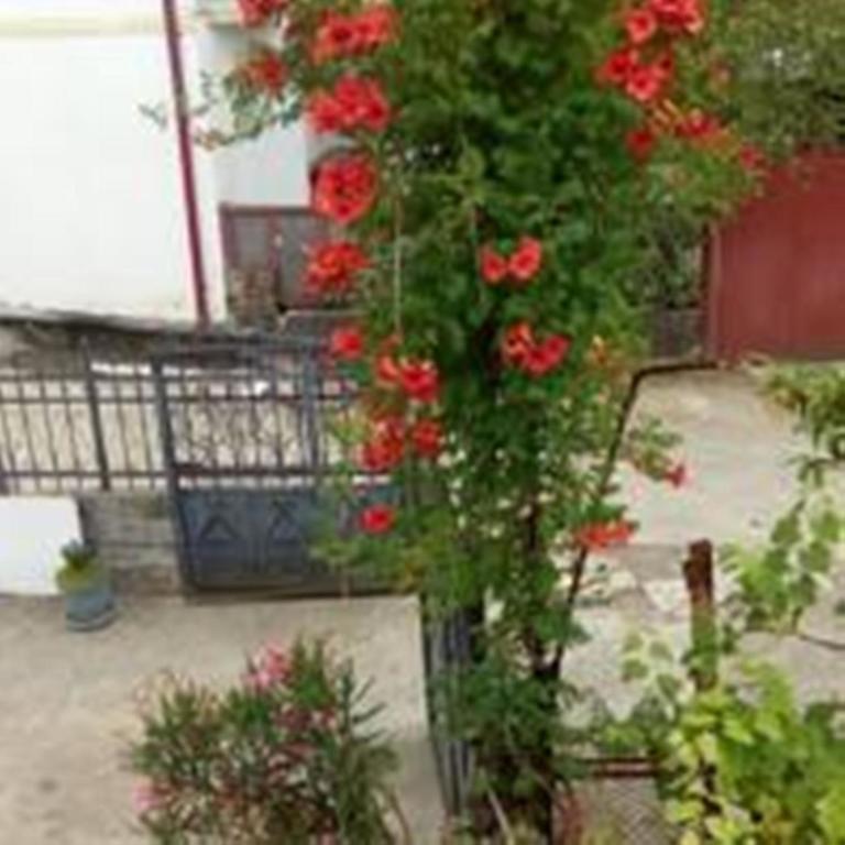 Guest House Quiet Home 巴统 外观 照片
